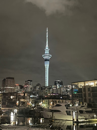 Social Impact from grassroots rugby for local communities in Auckland, New Zealand