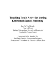 Research Report: Tracking Brain Activities during Emotional Scenes Encoding