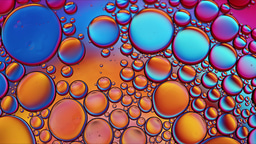 FEBS Junior Section presents Sébastien Bontemps-Gallo