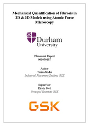 Mechanical Quantification of Fibrosis in 2D & 3D Models using Atomic Force Microscopy