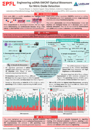 Research Poster: Engineering DNA-Carbon Nanotube Optical Biosensors for Nitric Oxide Detection