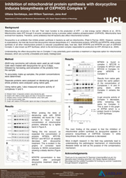 Inhibition of mitochondrial protein synthesis with doxycycline induces biosynthesis of OXPHOS Complex V 