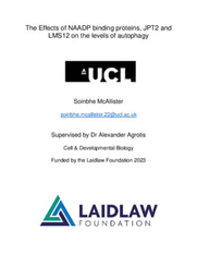 Research Report for Cell Biology: Autophagy and Calcium Signalling