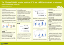 Research Poster for Cell Biology: Autophagy and Calcium Signalling