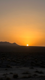 A Reminder from Iran: When Conservation Becomes Too Dependent on Digital Connectivity