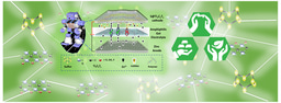 Flexible aqueous Zn–S battery based on an S-decorated Ti3C2Tx cathode