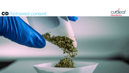 Medical cannabis – a future in community pharmacy