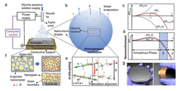 High-performance piezoelectric/ferroelectric bio-organic films for sensor, energy harvester, and biomedical applications