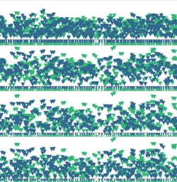 Which parts of a bacterium’s DNA are truly essential for it to live?