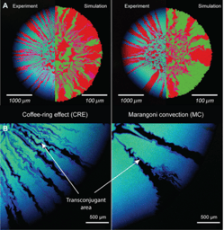 The enormous hydrodynamic forces at the microscale - a key process regulating microbial community structure and ecological characteristics