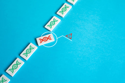  Call for papers: Cell and molecular therapy for cardiovascular disorders