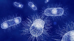 Top 100 in Microbiology from 2024 | Scientific Reports