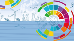 Upcoming webinar: Kidney Disease in the Public Health Agenda