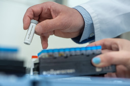 The importance of chemical probes in molecular and cell biology