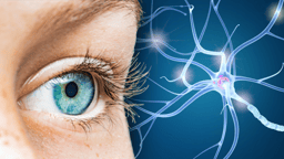 Neuro-inspired AI keeps its eye on what's odd