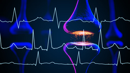 It’s time to spike