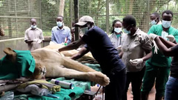 Welcome to UWEC Zoo Entebbe 