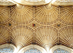 The Spandrels of Ecological Architecture