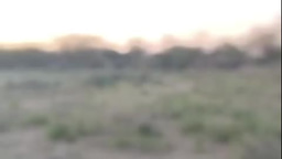 2026-06-30 at 8.42.05 PM