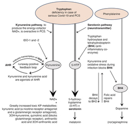 Follow-up: collaboration between immunologists and neuropsychiatrists on post-Covid