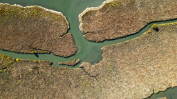 Quarterly Highlights from the Mathematics, Physical and Applied Sciences Communities