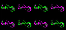 A Molecular Shredder at the Source: How Trypanosomes Fine-Tune Their Surface Coat