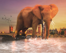 Help! My data are too large to share