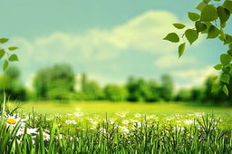 Hello! My name is Mukilan