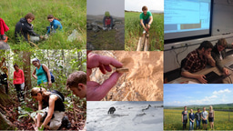 Mega-meta-analysis of many microbes... 