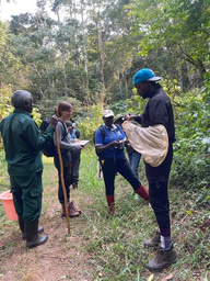 Some light-bulb moments in TBA Field Courses: Training Conservation Leaders