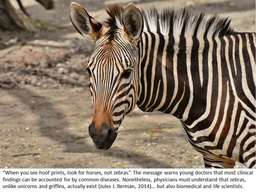 Rare diseases: a healthcare issue and rich scientific hunting ground