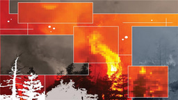 When physical models are the cornerstone of machine learning success