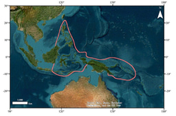 The Mystery of the Ocean's Cradle:  Mapping Polychaete Biodiversity in the Indo-Pacific Convergence Zone 