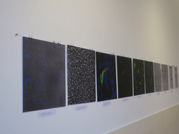 RNA SOLUTIONS – Why it is important to engage with citizens and promote trust in science