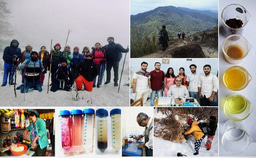 More than a sip: Himalayas, High-Altitude Sicknesses and Therapeutic Ethnic Fermented Drinks