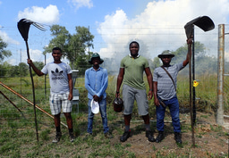 Ecosystem-wide responses to fire and large mammal 