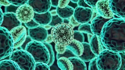 Lurking Beneath the Calm: The Sinister Evolution of a Harmless Virus and TTMV Leukemia