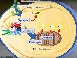 Biology animations in YouTube channel by McGraw-Hill