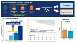 Clinical Utility of Digital Twin-Guided Amiodarone Test in AF Patients