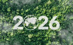 International Day of Forests 2026 : Highlights from BMC Series