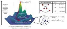Charting cellular differentiation trajectories with Ricci flow
