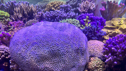 Massively parallel data processing for new discoveries