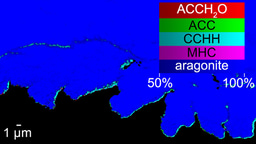 Myriad Mapping (MM) from atomic to intergalactic scales