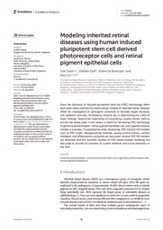 Modeling inherited retinal diseases using human induced pluripotent stem cell derived photoreceptor cells and retinal pigment epithelial cells