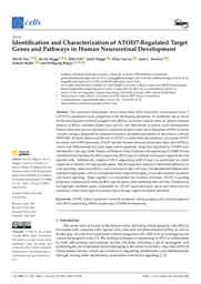 Identification and Characterization of ATOH7-Regulated Target Genes and Pathways in Human Neuroretinal Development