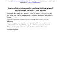 Preprint: Engineered microvasculature using maskless photolithography and on-chip hydrogel patterning: a facile approach