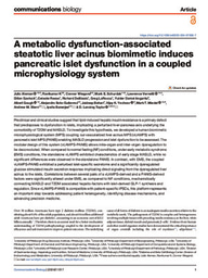 A metabolic dysfunction-associated steatotic liver acinus biomimetic induces pancreatic islet dysfunction in a coupled microphysiology system