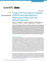 Single-Cell Transcriptomic Dataset of RPGR-associated Retinitis Pigmentosa Patient-Derived Retinal Organoids