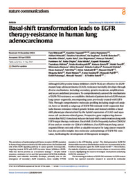 Basal-shift transformation leads to EGFR therapy-resistance in human lung adenocarcinoma
