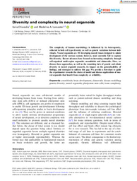 FEBS Letters - 2026- Diversity and complexity in neural organoids
